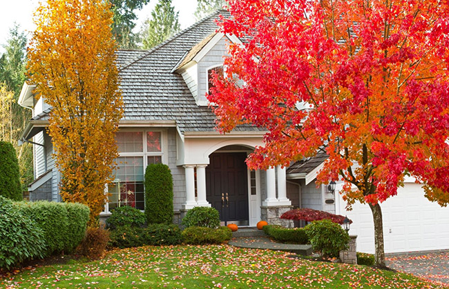House with fall leaves. 8 Tips on How to Prepare Your Home for Fall and Winter